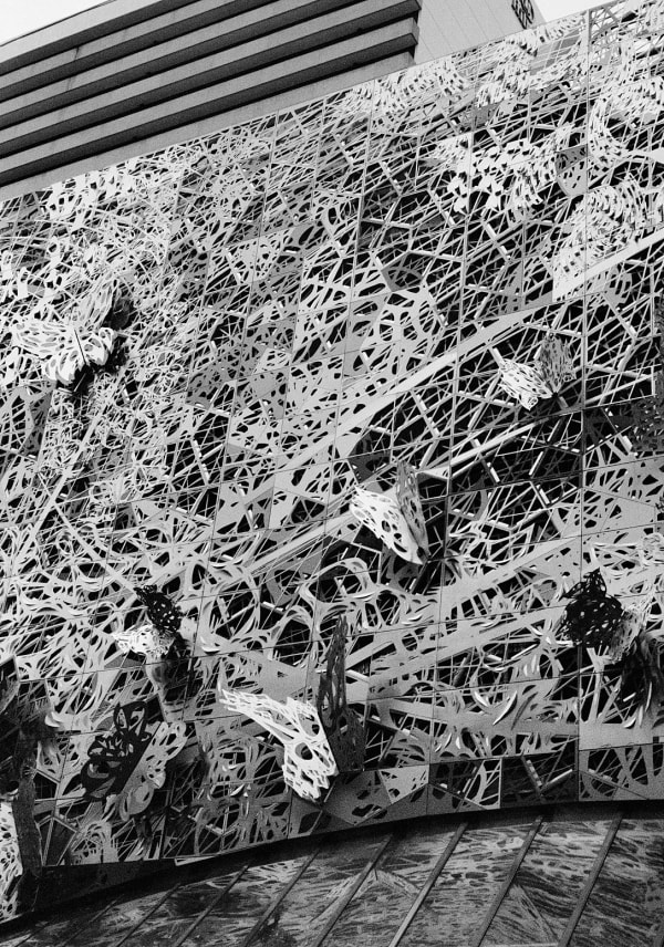 Downtown Brisbane, Queensland, Australia, 2022 Archival Pigment Print on Moab Entrada Rag, 21x17" Edition of Three