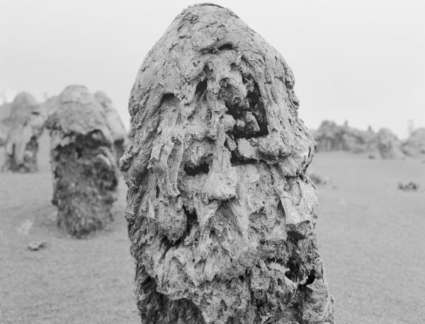 Lava Tree, East Rift Zone, Hawai'i, 2007 Selenium Toned Silver Gelatin Print, 16x20" Edition of Three