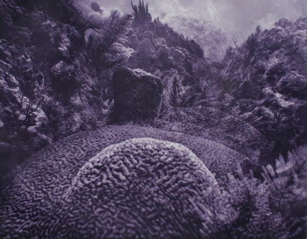 Brain Coral Multiple, Key Largo, Florida, 2014 Photogravure on Hahnemühle Copperplate Paper Size 20x23", Plate Size 13x16.5" Edition of 20 Printed by Lothar Osterburg in 2025