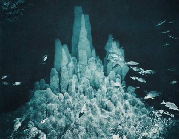 Pillar Coral Multiple-Night, Bahamas, 2013 Photogravure on Hahnemühle Copperplate Paper Size 20x23", Plate Size 13x16.5" Edition of 20 Printed by Lothar Osterburg in 2025