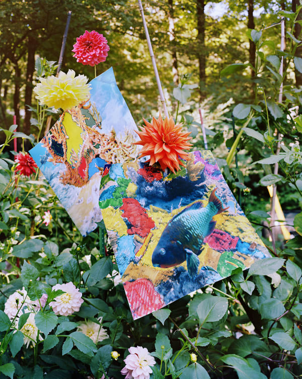 Parrotfish and Fire Coral Prints with Marker, Key Largo, Florida / Dhalia Garden, Connecticut, 2024 Archival Pigment Print on Moab Entrada Rag, Image Size, 10x8", Paper Size, 21x17" Edition of Three