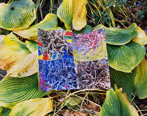 Reef Grid with Marker, Australia, 2022/ Hosta, Connecticut, 2024 Archival Pigment Print on Moab Entrada Rag, Image Size, 8x10", Paper Size, 17x21" Edition of Three