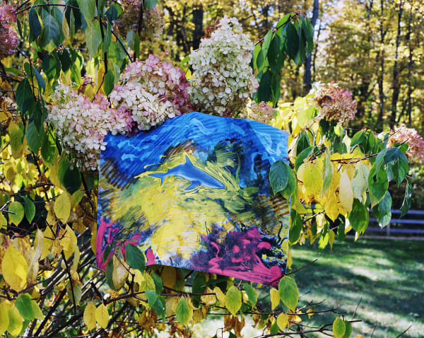Reef Shark with Marker, Key Largo, Florida / Hydrangea, Connecticut, 2024 Archival Pigment Print on Moab Entrada Rag, Image Size, 8x10", Paper Size, 17x21" Edition of Three