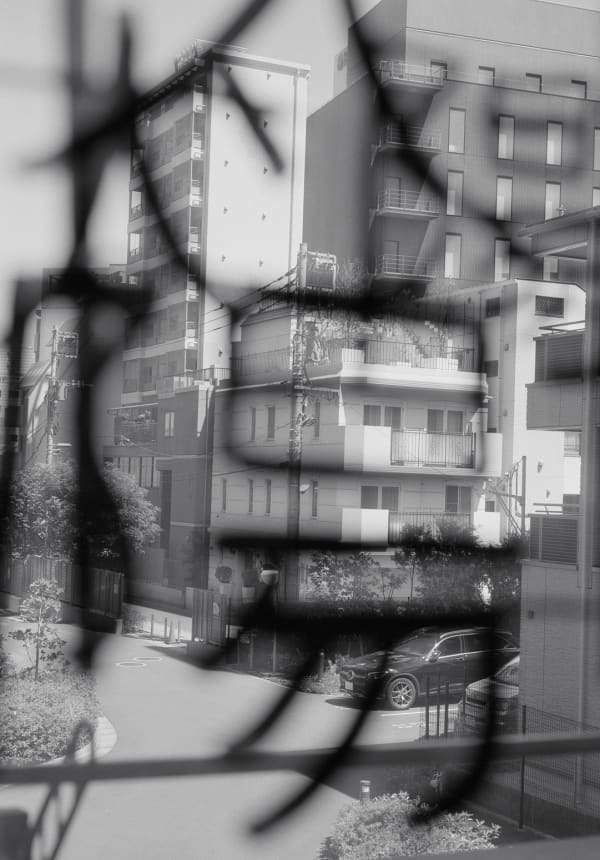 "Sun", Akasaka, Tokyo, Japan, 2023 Selenium Toned Silver Gelatin Print, 20x16" Edition of Three