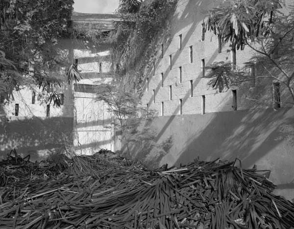 Irrigation Pipe Storage, Brighton Farm, St. George, Barbados, 2016 Selenium Toned Silver Gelatin Print, 20x24" Archival Pigment Print on Moab Entrada Rag, 17x21" Edition of Three