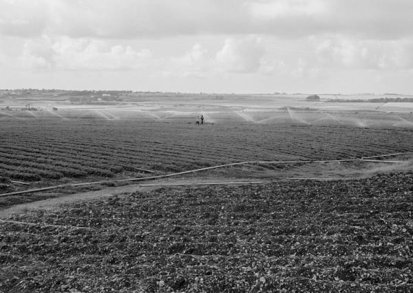 Irrigation, Brighton Farm, St. George, Barbados, 2009 Selenium Toned Silver Gelatin Print, 16x20" Archival Pigment Print on Moab Entrada Rag, 17x21" Edition of Three
