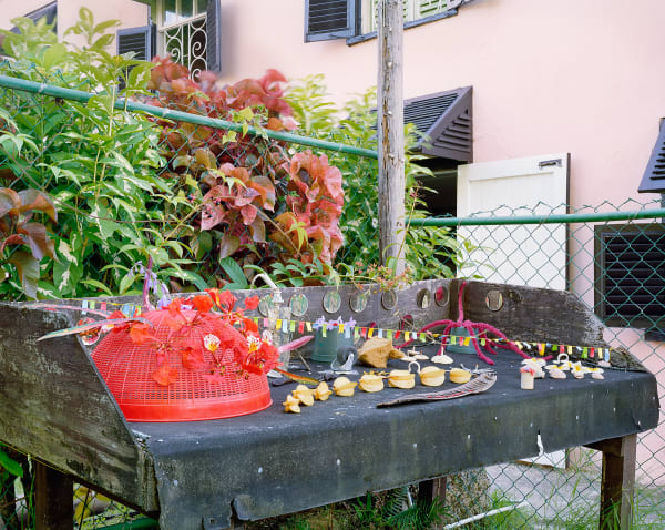 Spontaneous Sculpture, Objects on Table, Brighton Farm, St. George, Barbados, 2006 Archival Pigment Print on Moab Entrada Rag, 17x21" Edition of Three