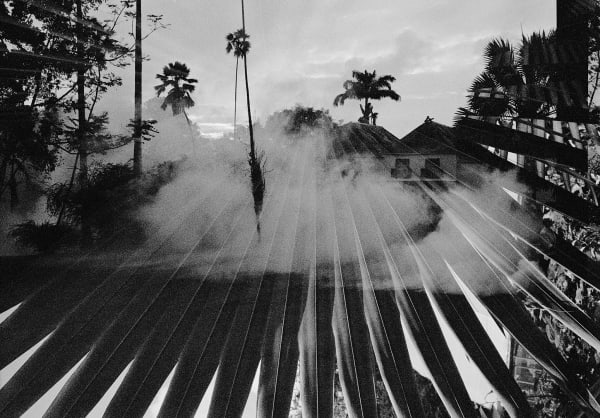 Bismarck Palm and Fumigation Double Exposure, Brighton Farm, St. George, Barbados, 2012 Selenium Toned Silver Gelatin Print, 16x20" Archival Pigment Print on Moab Entrada Rag, 17x21" Edition of Three