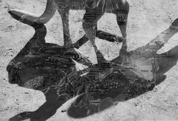 Red Kangaroo/Tea Towel Double Exposure, Queensland, Australia, 2022 Archival Pigment Print on Moab Entrada Rag, 17x21" Edition of Three