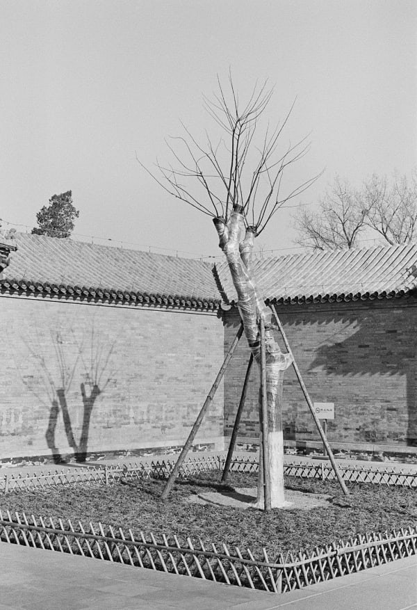 Untitled, Beijing, China, 2009 Archival Pigment Print on Moab Entrada Rag, 21x17" Edition of Three