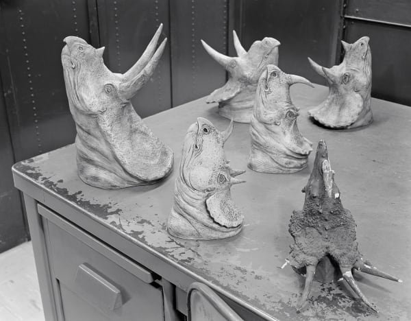 Plaster Ceratopsid Heads, Paleobiology Department, Smithsonian Natural History Museum, Washington D.C., 1998 Archival Pigment Print on Moab Entrada Rag, Image Size, 8x10", Paper Size, 17x21" Edition of Three