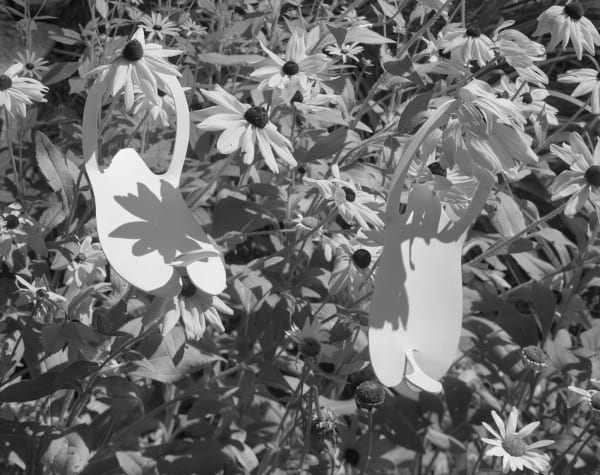 Nail Salon Slippers and Black-Eyed Susans, Wilton, Connecticut, 2016 Selenium Toned Silver Gelatin Print 16x20" Edition of Three