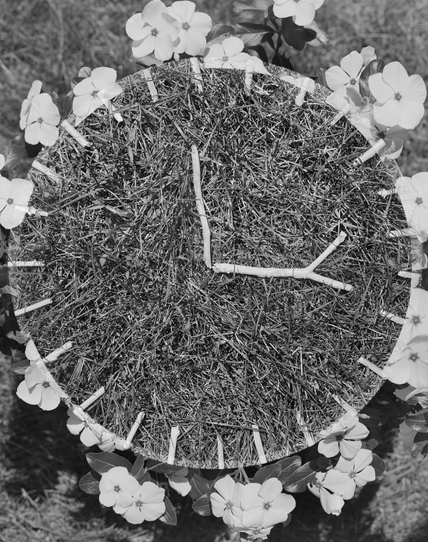 Stick Clock, Wilton, Connecticut, 2016 Selenium Toned Silver Gelatin Print 20x16" Edition of Three