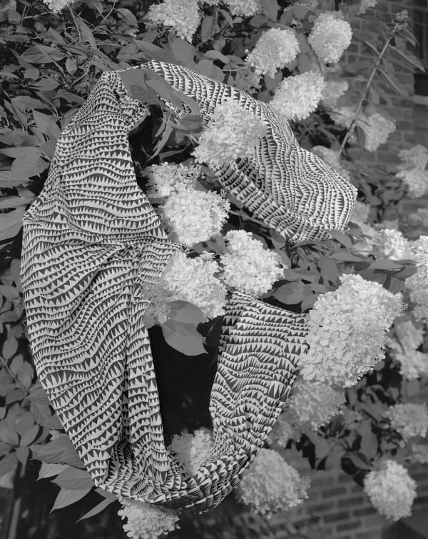 Hydrangea Fabric Study, Wilton, Connecticut, 2023 Selenium Toned Silver Gelatin Print 20x16" Edition of Three