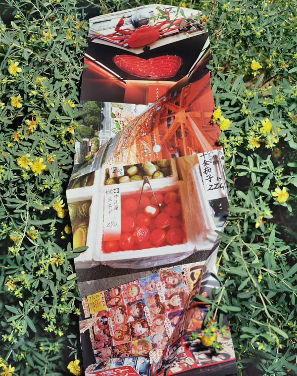 iPhone Photographs from Tokyo on St. John's Wort, Wilton, Connecticut, 2016 Archival Pigment Print, 20x24" Edition of Three