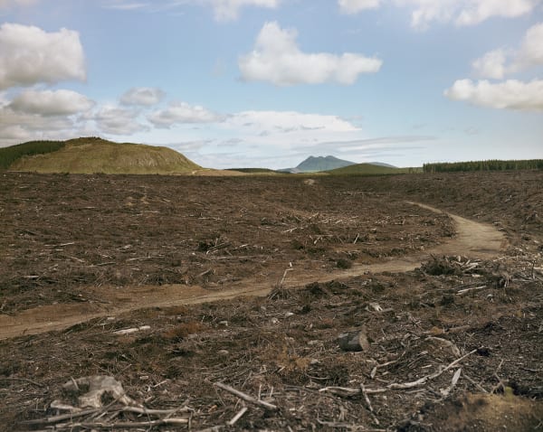 Logging Road, Looking South Towards Mount Tauhara Lava Dome, New Zealand, 1995 Archival Pigment Print on Moab Entrada Rag, Image Size, 8x10", Paper Size, 17x21" Edition of Three