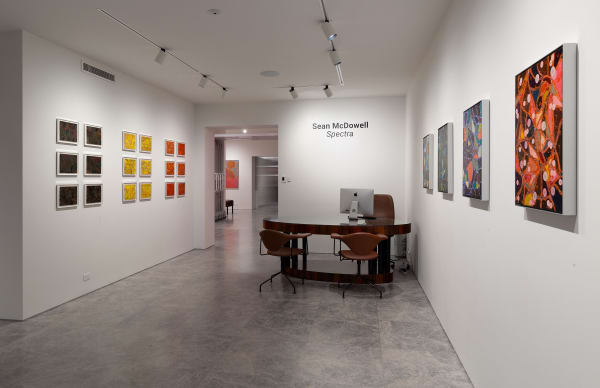 Sean McDowell, Spectra, 2024, Installation View, Lennox St. Gallery