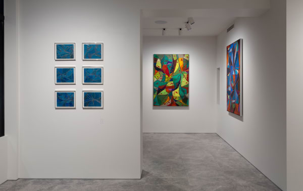 Sean McDowell, Spectra, 2024, Installation View, Lennox St. Gallery