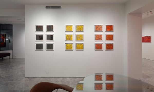 Sean McDowell, Spectra, 2024, Installation View, Lennox St. Gallery