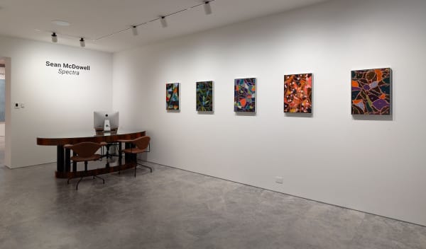 Sean McDowell, Spectra, 2024, Installation View, Lennox St. Gallery