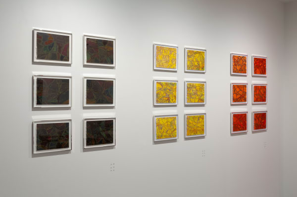 Sean McDowell, Spectra, 2024, Installation View, Lennox St. Gallery