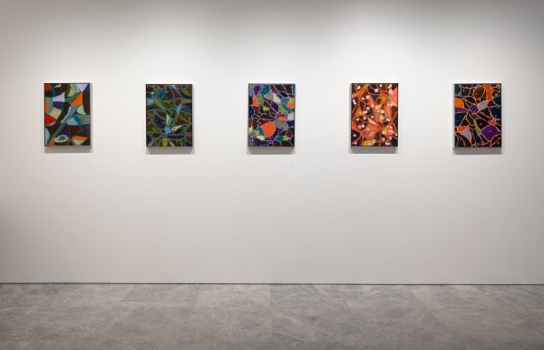 Sean McDowell, Spectra, 2024, Installation View, Lennox St. Gallery