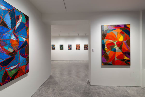 Sean McDowell, Spectra, 2024, Installation View, Lennox St. Gallery