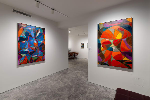 Sean McDowell, Spectra, 2024, Installation View, Lennox St. Gallery