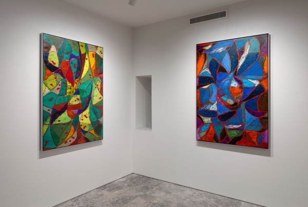 Sean McDowell, Spectra, 2024, Installation View, Lennox St. Gallery