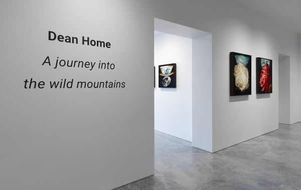 Deanhome Ajourneyintothewildmountains Installationview10