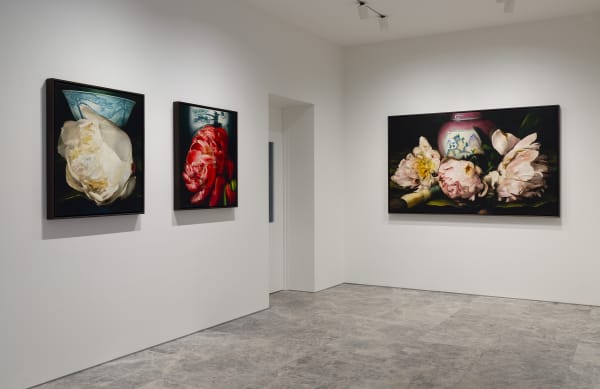 Deanhome Ajourneyintothewildmountains Installationview11