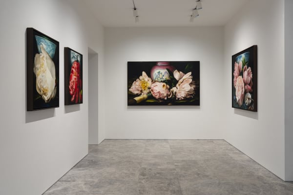 Deanhome Ajourneyintothewildmountains Installationview13