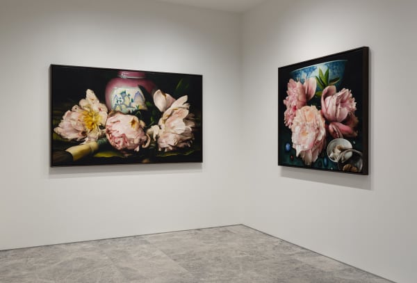 Deanhome Ajourneyintothewildmountains Installationview14