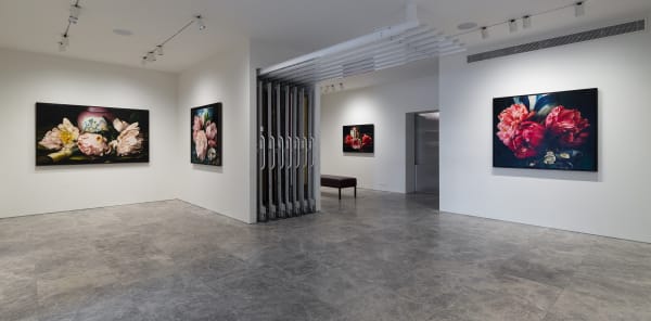 Deanhome Ajourneyintothewildmountains Installationview15