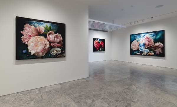 Deanhome Ajourneyintothewildmountains Installationview16