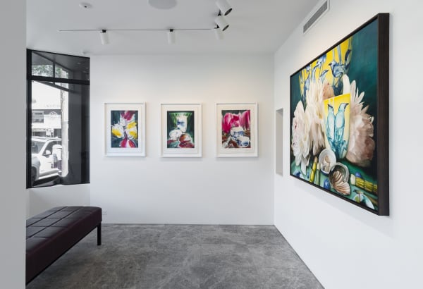 Deanhome Ajourneyintothewildmountains Installationview2