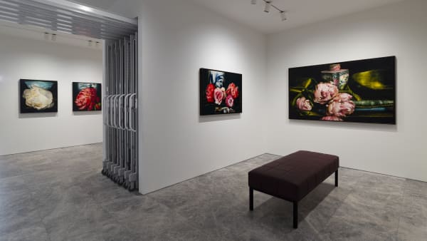 Deanhome Ajourneyintothewildmountains Installationview20