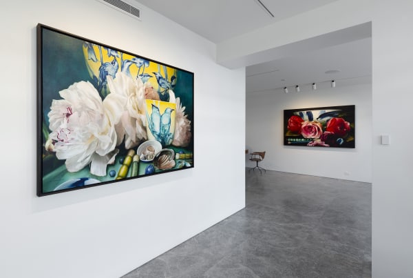 Deanhome Ajourneyintothewildmountains Installationview7