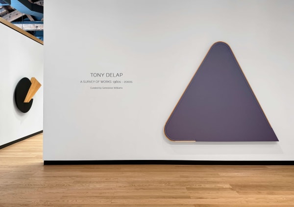 Tony Delap A Survey Of Works Installation View At The Honarkar Foundation 2024 12 Copy