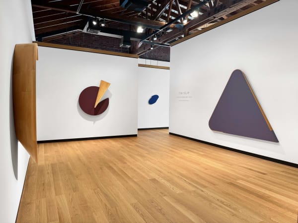 TONY DELAP A Survey of Works | 1960s - 2000s