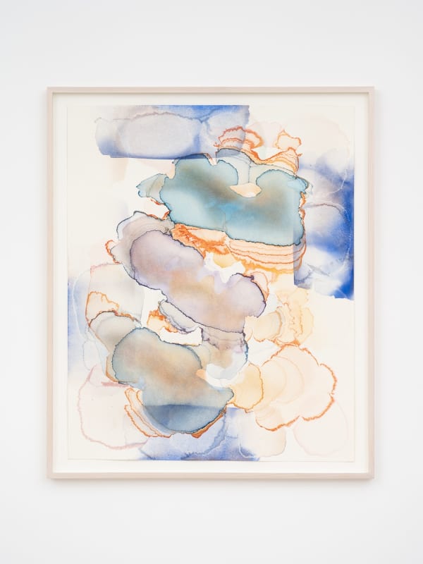 Barbara Nicholls, Back Steps, 2023