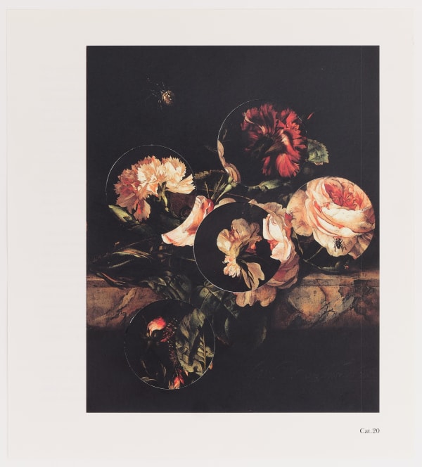 Aliki Braine, Turbulence, (Cat.20 after van Aelst), 2021