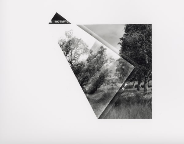 Aliki Braine, Folded (Homage à Corot 2), 2016