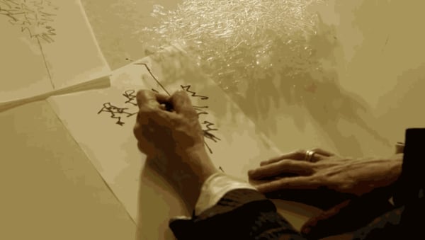 JOY OF TRANSITION, Ayala Serfaty