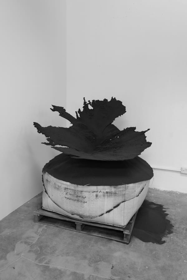 Mo Solo Cat L1050425 300Dpi