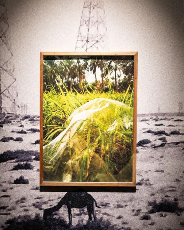 Mf Tyranny Dfd9Be632D