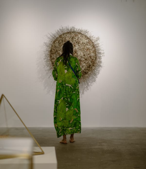 A Little Stardust Caught