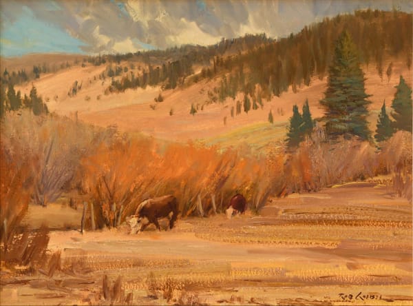 Rod Goebel