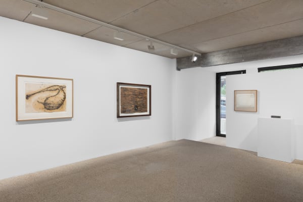 202411 Muliermulier 7