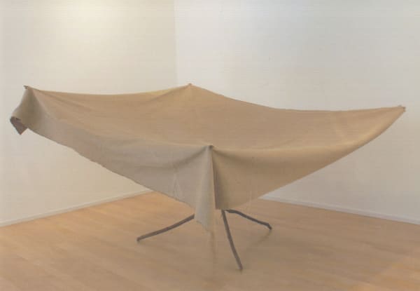 Barry Flanagan - Early Works